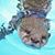 Janice Hisle's profile image
