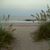 LeeAnn Studeny Ballard's profile image