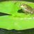Linda Schafer's profile image