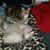 Sandra Milnes's profile image