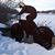 Jason Bohachek's profile image