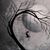 Damon Taylor's profile image