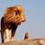 Doris Bigham Reed's profile image