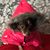 Kathleen Wescott McIntyre's profile image