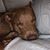 Sharol McNeilus Gersic's profile image