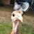Chris Duncker's profile image