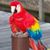 Char Zee's profile image