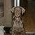 Larni Bull's profile image