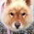 Mary Theresa Mitsch Vogel's profile image