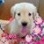 Sherri Quay's profile image
