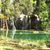 Deb Nichols Wicke's profile image