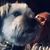 Burnie Bailey's profile image