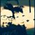 Messana Richard Frank's profile image