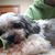 Kellyjo Williamson's profile image