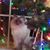 Melissa Seidel-LaPorte's profile image