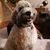Trevin Price's profile image