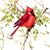 Carol Riddle's profile image