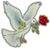 Riki Cohen's profile image