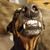 Sandra Woodams's profile image