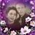 April Schuerman's profile image