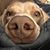 Gretchen Tokar's profile image