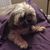 Amy Utley's profile image