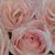 Nancy Morfin's profile image