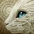 Bob Mumbauer's profile image