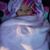 Emilio Vera's profile image