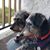 Deborah J Austin's profile image