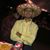 Abraham Gonzalez's profile image