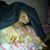 Candi Wegner's profile image