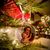 Elaine Lauterbach Scutti's profile image
