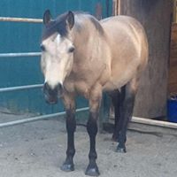 Tasha Love's profile image