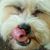 Andrew Poonkerdroopel's profile image