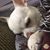 Tammi Mead Lamper's profile image