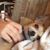 Debbie Thurston Canull's profile image