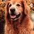 Sallie Cox's profile image