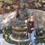 Sheri Miller's profile image