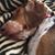 Kathy Warren's profile image