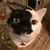 Linda Marie Seward's profile image