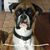 Robyn Kuhlmey's profile image