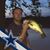 Jason Carpenter's profile image