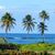 Nancy Fulmer Deitrick's profile image