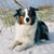 Suzanne Higgins Cooper's profile image