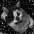 Samantha Miller's profile image
