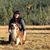 Barbi Anderson Gavin's profile image