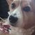 Liz Stenson's profile image