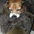 Renee Roop's profile image
