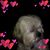 Lisa Contreras's profile image